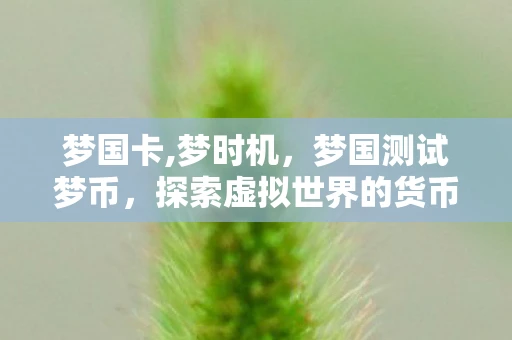 梦国卡,梦时机，梦国测试梦币，探索虚拟世界的货币奇迹