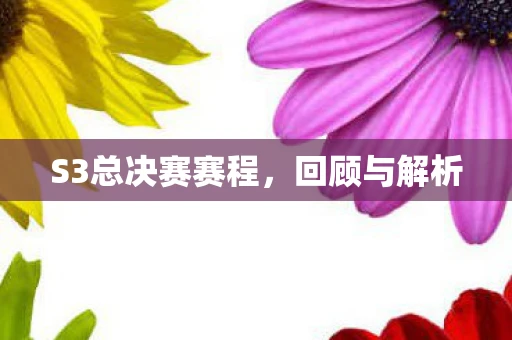 S3总决赛赛程，回顾与解析