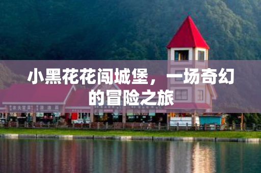 小黑花花闯城堡，一场奇幻的冒险之旅