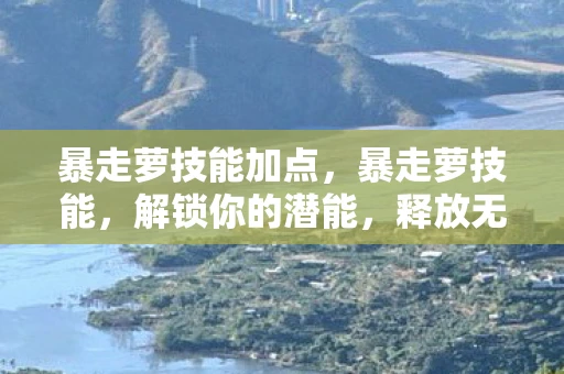 暴走萝技能加点，暴走萝技能，解锁你的潜能，释放无限可能