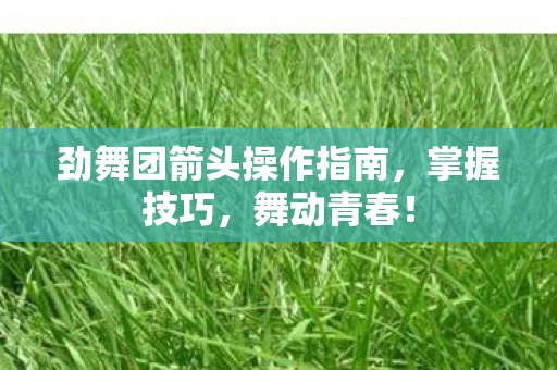 劲舞团箭头操作指南图片