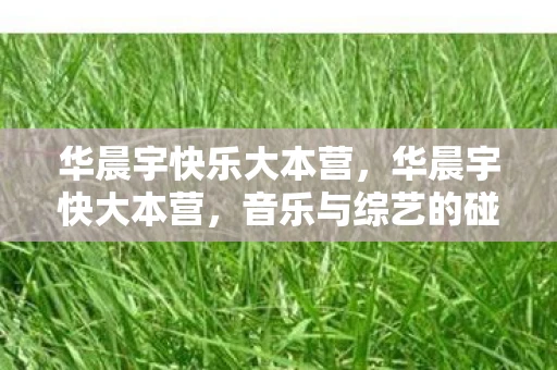 华晨宇快乐大本营，华晨宇快大本营，音乐与综艺的碰撞