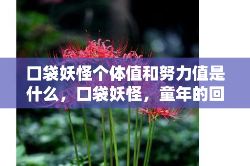 口袋妖怪个体值和努力值是什么，口袋妖怪，童年的回忆与成长的陪伴