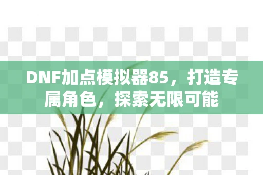DNF加点模拟器85，打造专属角色，探索无限可能