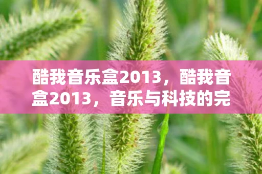 酷我音乐盒2013，酷我音盒2013，音乐与科技的完美融合