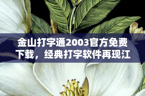 金山打字通2003官方免费下载，经典打字软件再现江湖