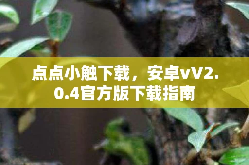 4官方版下载指南图片