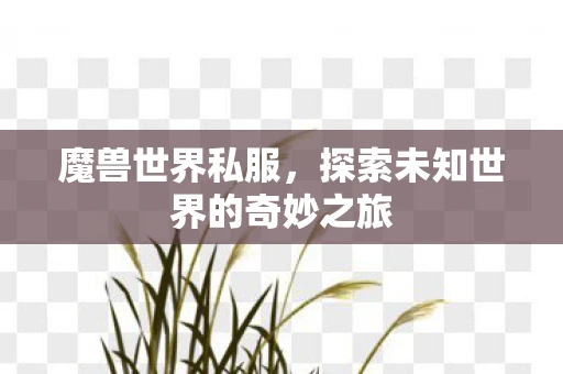 魔兽世界私服，探索未知世界的奇妙之旅