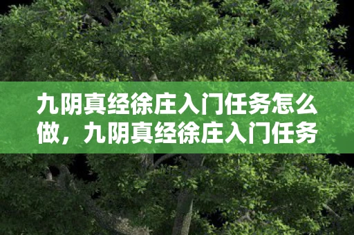 九阴真经徐庄入门任务怎么做，九阴真经徐庄入门任务，探寻武侠世界的奥秘