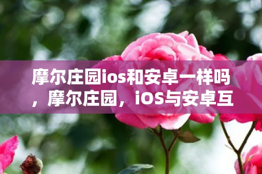 摩尔庄园ios和安卓一样吗，摩尔庄园，iOS与安卓互通性解析