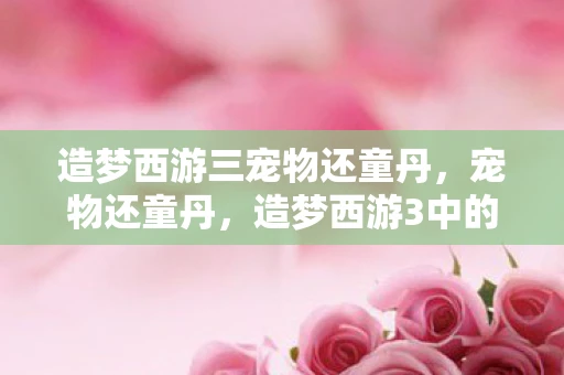 造梦西游三宠物还童丹，宠物还童丹，造梦西游3中的神奇存在