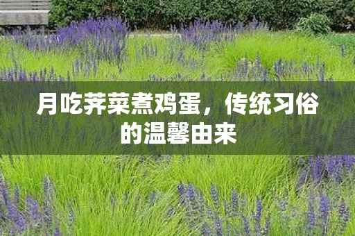 月吃荠菜煮鸡蛋，传统习俗的温馨由来