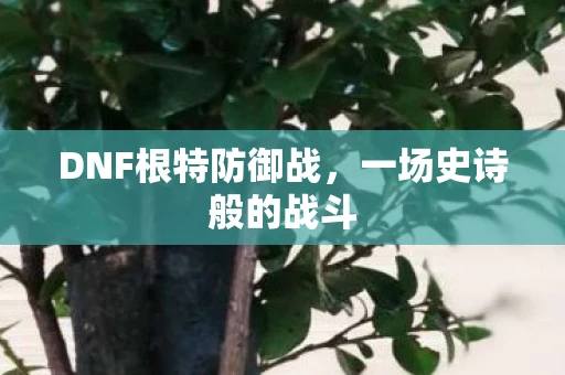 DNF根特防御战，一场史诗般的战斗