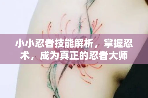 小小忍者技能解析，掌握忍术，成为真正的忍者大师
