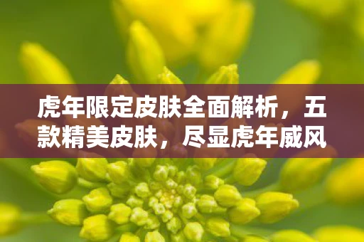 虎年限定皮肤全面解析，五款精美皮肤，尽显虎年威风