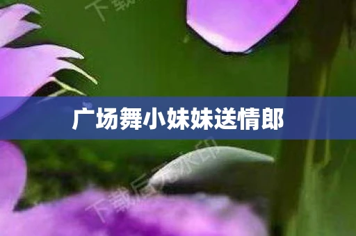 广场舞小妹妹送情郎