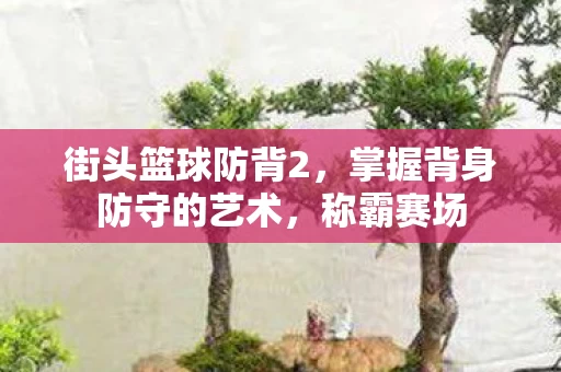掌握背身防守的艺术图片