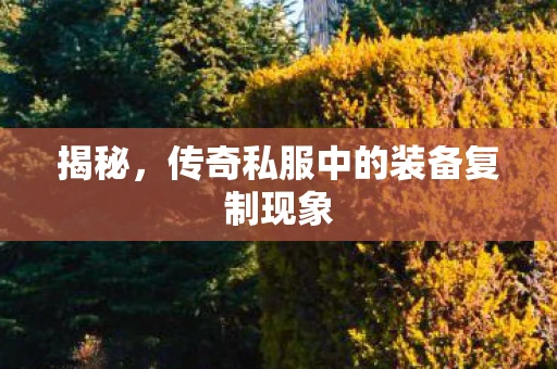 揭秘，传奇私服中的装备复制现象