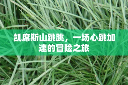 凯席斯山跳跳，一场心跳加速的冒险之旅