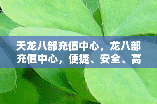天龙八部充值中心，龙八部充值中心，便捷、安全、高效的充值体验