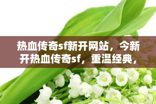 热血传奇sf新开网站，今新开热血传奇sf，重温经典，再战江湖
