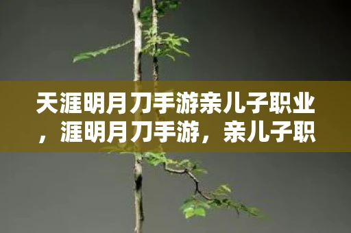 天涯明月刀手游亲儿子职业，涯明月刀手游，亲儿子职业全解析