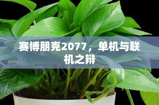 赛博朋克2077图片