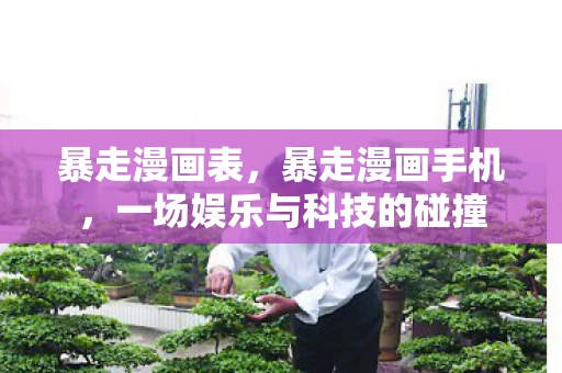 暴走漫画表，暴走漫画手机，一场娱乐与科技的碰撞