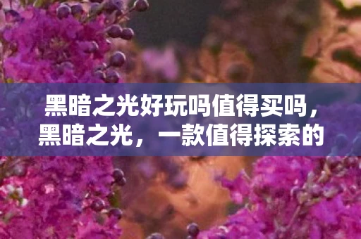 黑暗之光好玩吗值得买吗，黑暗之光，一款值得探索的冒险游戏