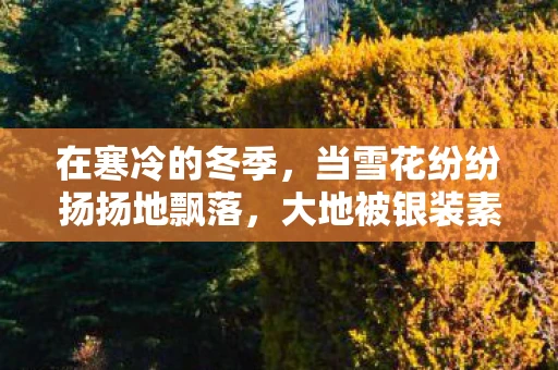 在寒冷的冬季，当雪花纷纷扬扬地飘落，大地被银装素裹，一切都显得那么宁静而祥和。然而，在这看似沉寂的季节里，却有一团火在悄然燃烧，它温暖着每一个寒冷的心灵，照亮了前行的道路。这团火，就是凛冬烈火