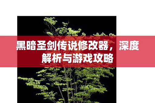 黑暗圣剑传说修改器图片