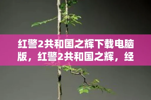 红警2共和国之辉下载电脑版，红警2共和国之辉，经典战役的辉煌再现
