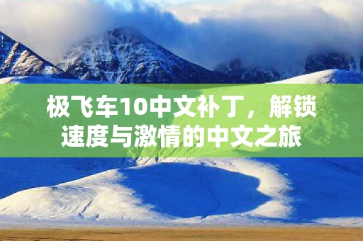 极飞车10中文补丁，解锁速度与激情的中文之旅