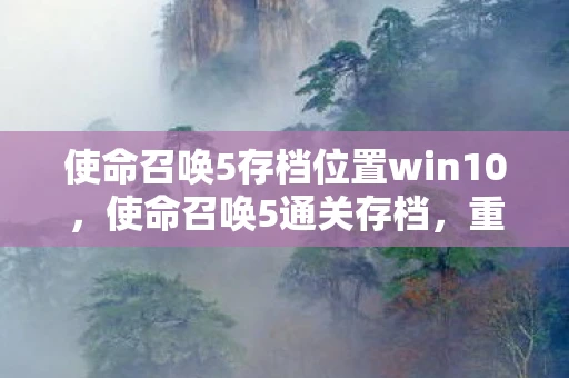 使命召唤5存档位置win10，使命召唤5通关存档，重温经典，重温感动