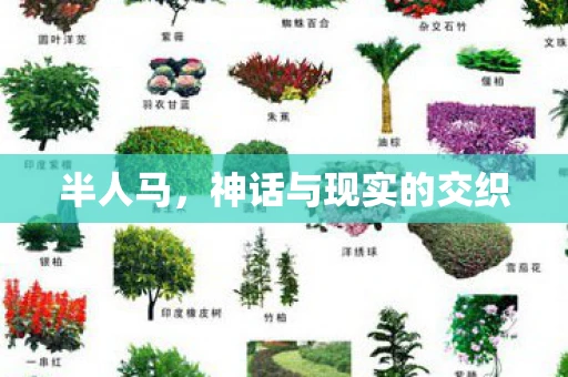 半人马，神话与现实的交织