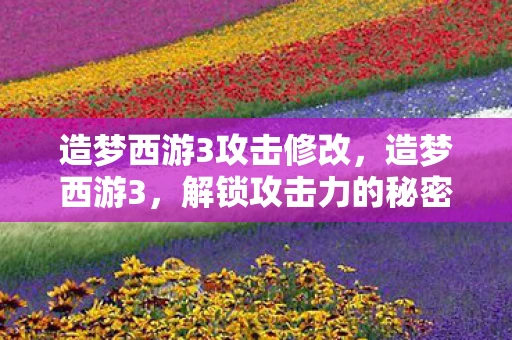 造梦西游3攻击修改，造梦西游3，解锁攻击力的秘密