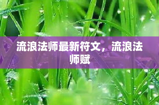 流浪法师最新符文，流浪法师赋