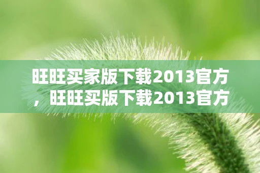旺旺买家版下载2013官方，旺旺买版下载2013官方，历史、功能与安全性分析
