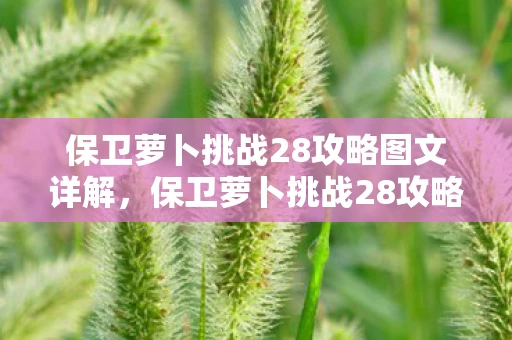 保卫萝卜挑战28攻略图文详解，保卫萝卜挑战28攻略，策略与技巧大揭秘
