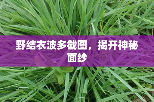 野结衣波多截图，揭开神秘面纱