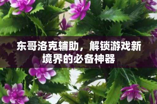 东哥洛克辅助，解锁游戏新境界的必备神器