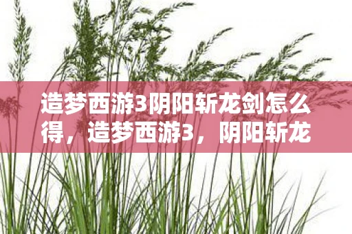 造梦西游3阴阳斩龙剑怎么得，造梦西游3，阴阳斩龙剑的神秘力量