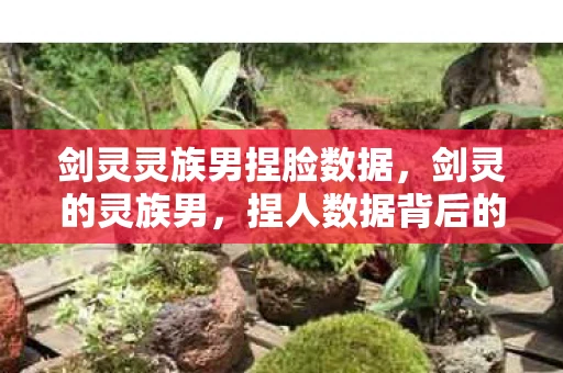 剑灵灵族男捏脸数据，剑灵的灵族男，捏人数据背后的艺术