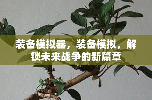 装备模拟器，装备模拟，解锁未来战争的新篇章