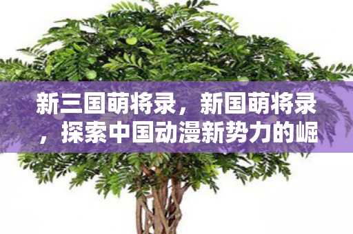 新三国萌将录，新国萌将录，探索中国动漫新势力的崛起