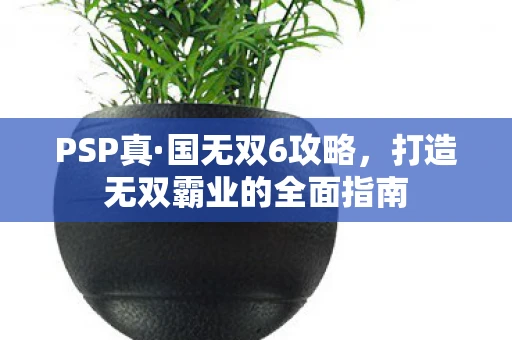 PSP真·国无双6攻略，打造无双霸业的全面指南