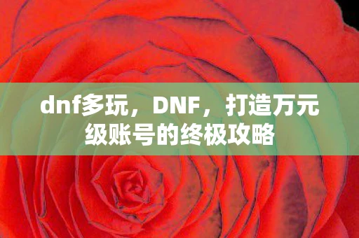 dnf多玩，DNF，打造万元级账号的终极攻略