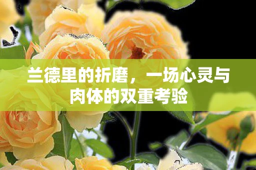 兰德里的折磨，一场心灵与肉体的双重考验