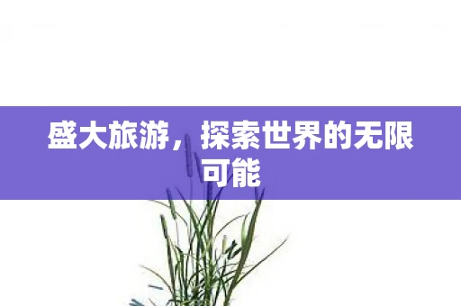 盛大旅游，探索世界的无限可能