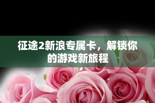 征途2新浪专属卡，解锁你的游戏新旅程